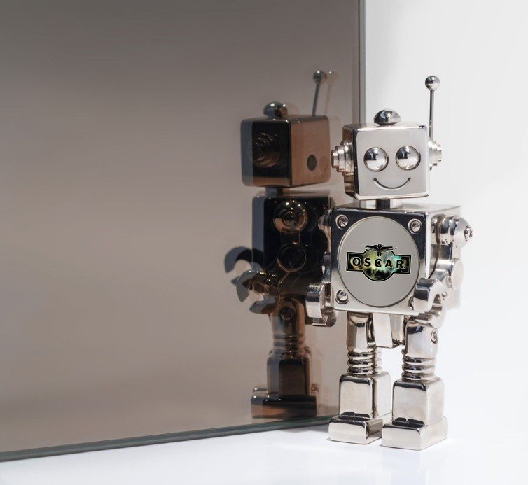 Euro Brown Color Mirror Supplier in Dubai